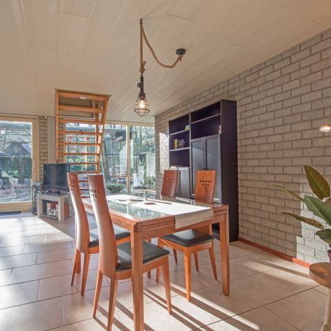 Bungalow 4 Personen - Trompeterschwan