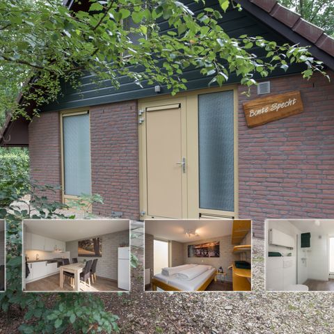 Bungalow 4 Personen - Elsterspecht