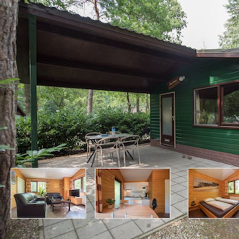 Bungalow 4 Personen - Schwanzmeise