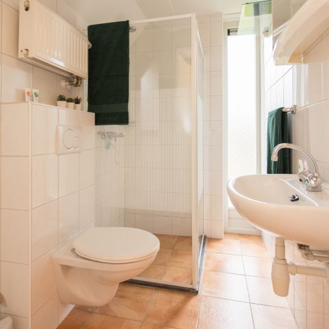 Bungalow 4 Personen - Weißer Pfau