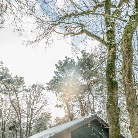 Villa 4 Personen - Alle elektrisch