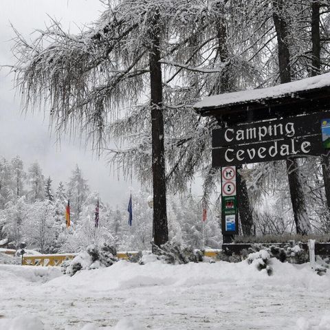 Camping Cevedale - Camping Trentino - Image N°2