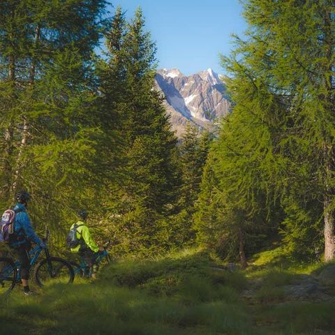 Camping Cevedale - Camping Trentino - Image N°5
