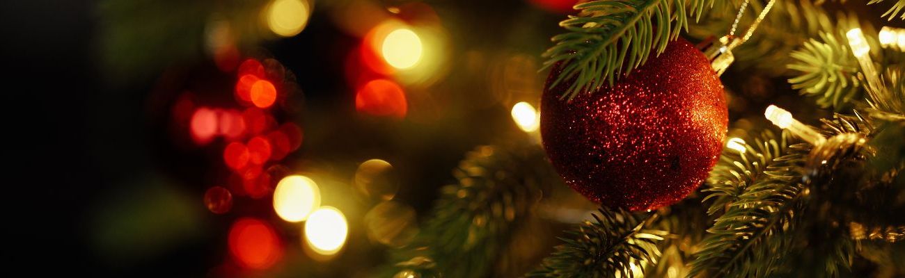 Ferienparks Weihnachtsferien 2026