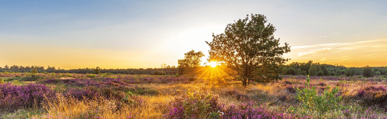 Ferienparks auf der Veluwe
