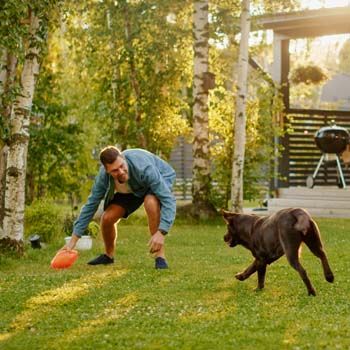 Ferienhäuser mit umzäunten Garten
