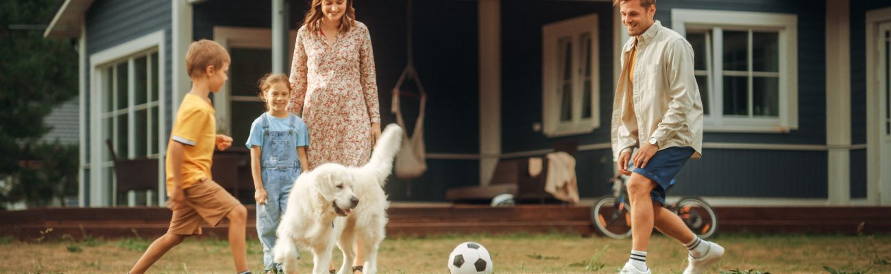 Ferienhaus in Zeeland mit Hund