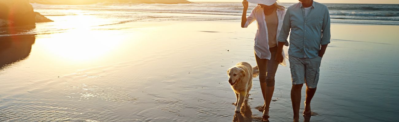 Urlaub mit Hund Niederlande am Meer