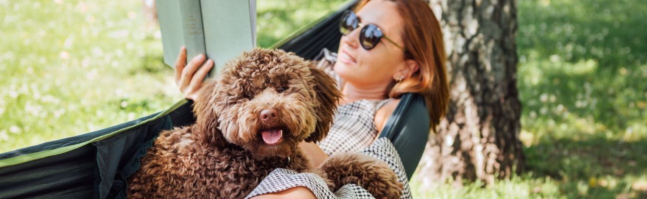 Ferienhaus mit Hund in Zeeland 