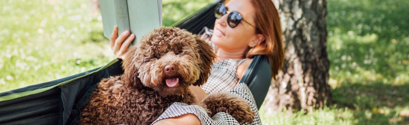 Ferienhaus IJsselmeer mit Hund​