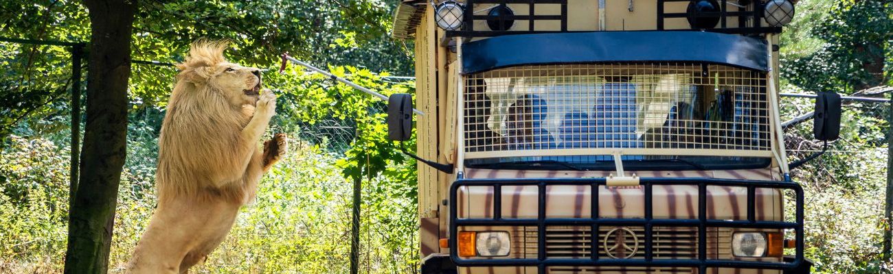 Ferienparks in der Nähe vom Serengeti Park